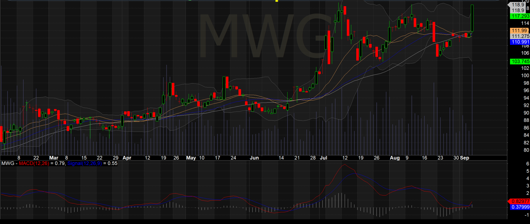 Cổ phiếu MWG và LNST đều tăng
