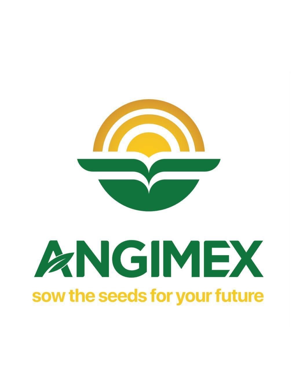 Nguyên nhân Angimex (AGM) tạm hoãn chi trả cổ tức năm 2020