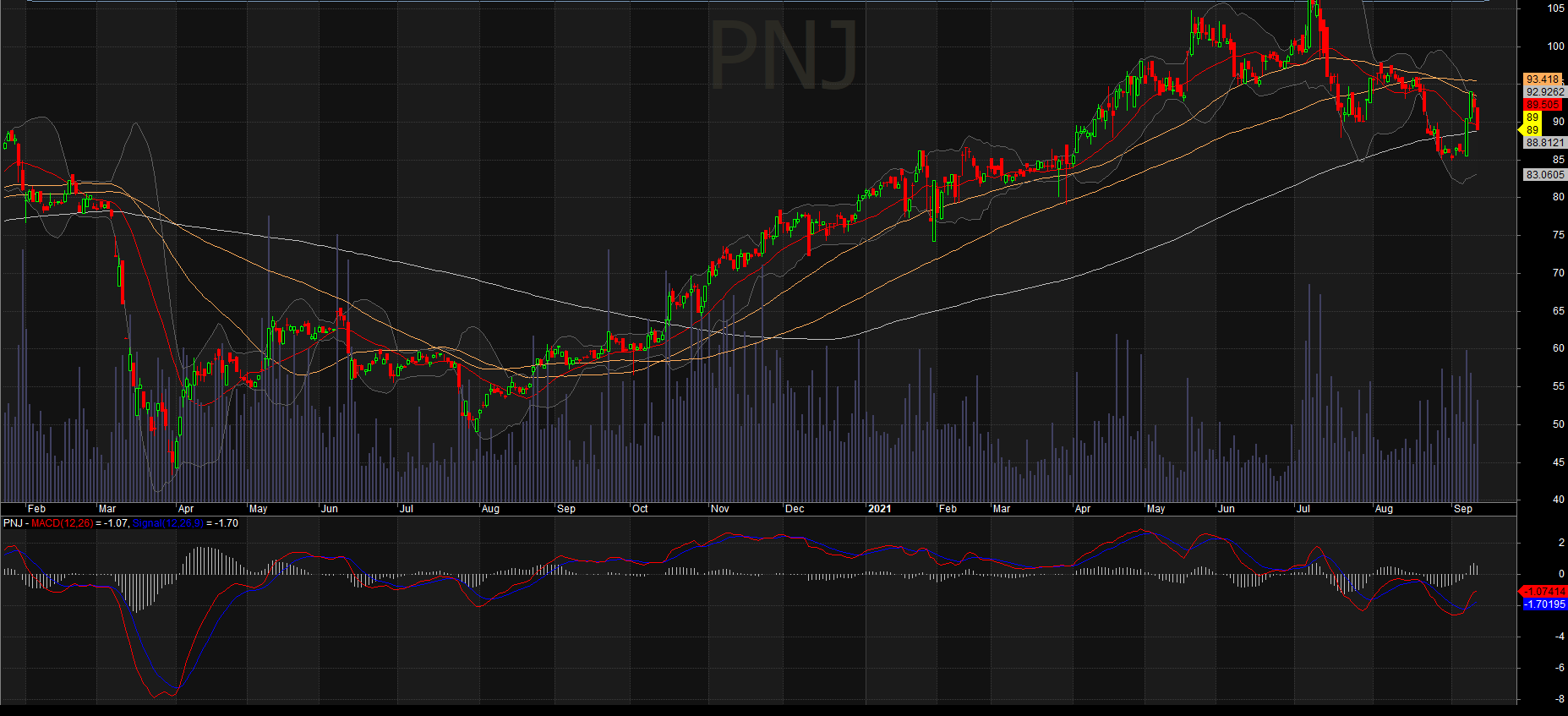 Lợi nhuận của cổ phiếu PNJ
