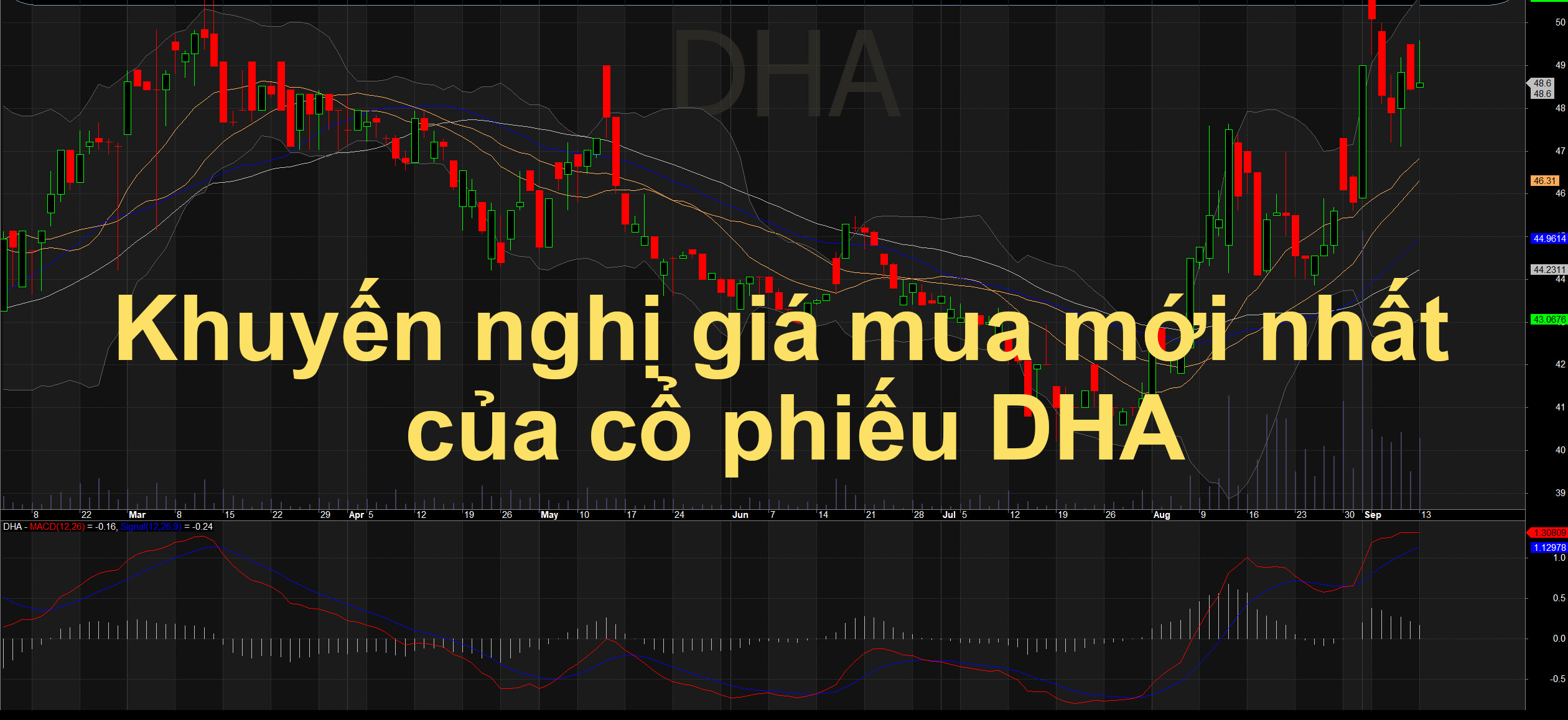 Thông tin khuyến nghị giá mua mục tiêu của cổ phiếu DHA