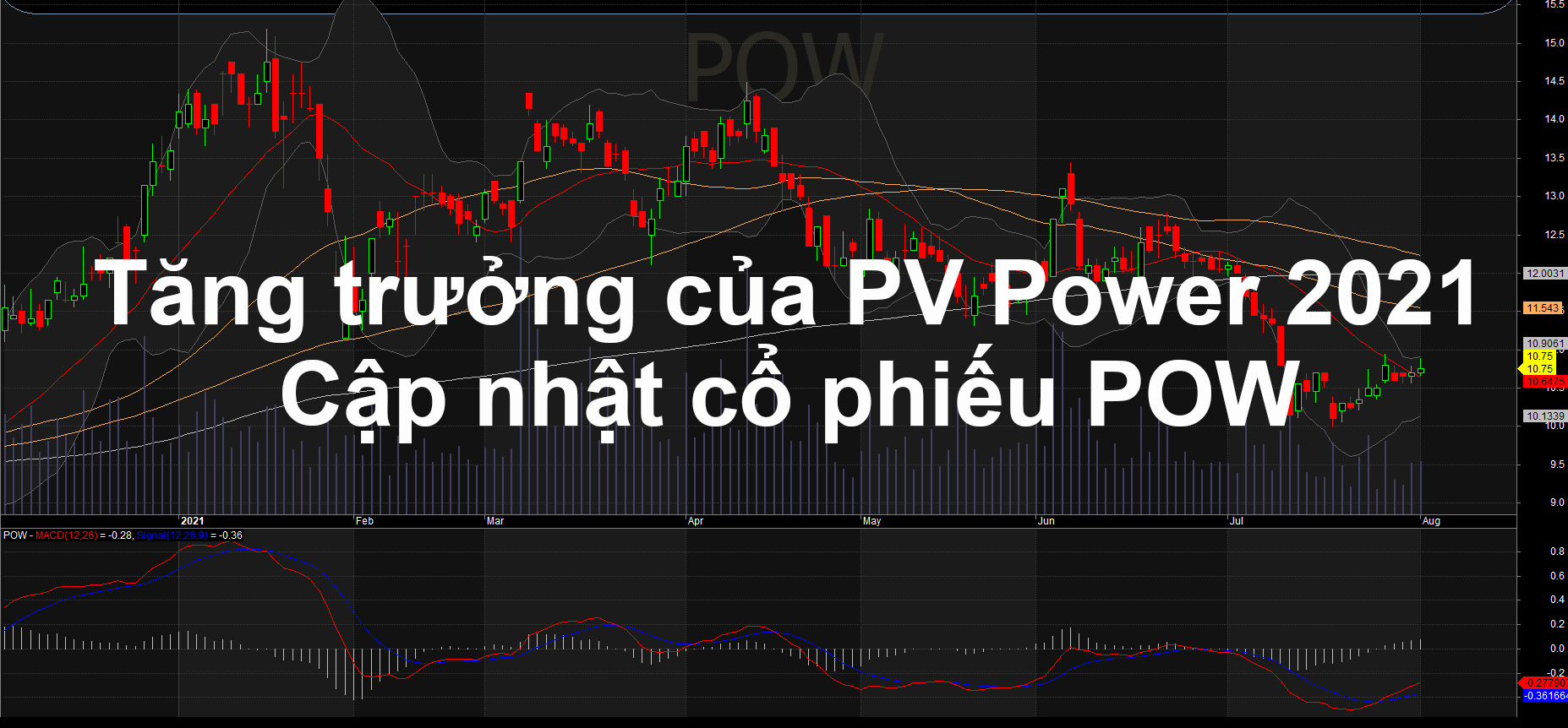 Phân tích sự biến động trong tăng trưởng của PV Power (cổ phiếu Pow)
